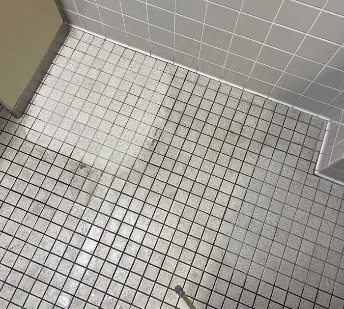 Pleasant Grove Tile and Grout Cleaning Results