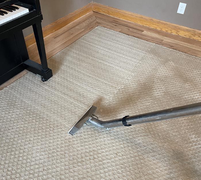 Springville Rug Cleaning Results 2