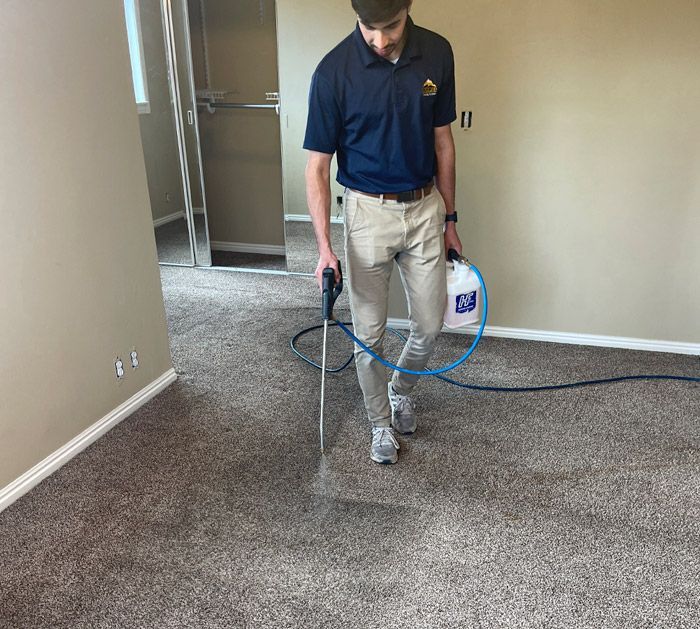 Commercial Carpet Cleaning Process