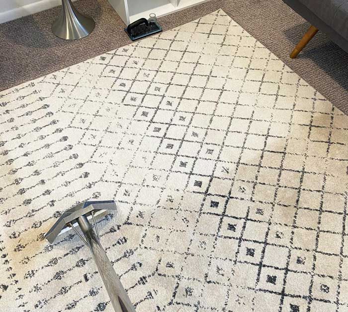 Professional Rug Cleaning Results