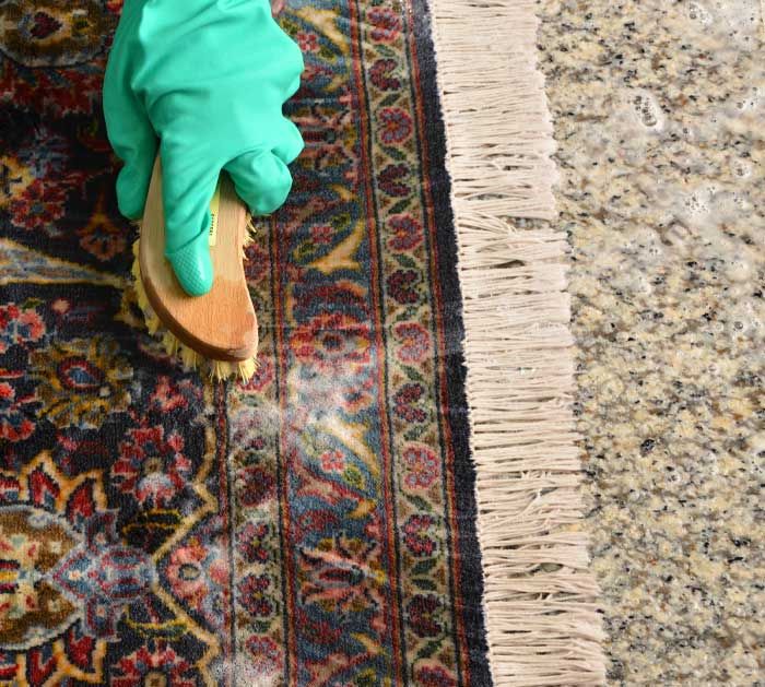 Rug Cleaning Company