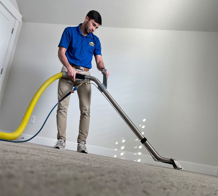 The Best Carpet Cleaning Service 