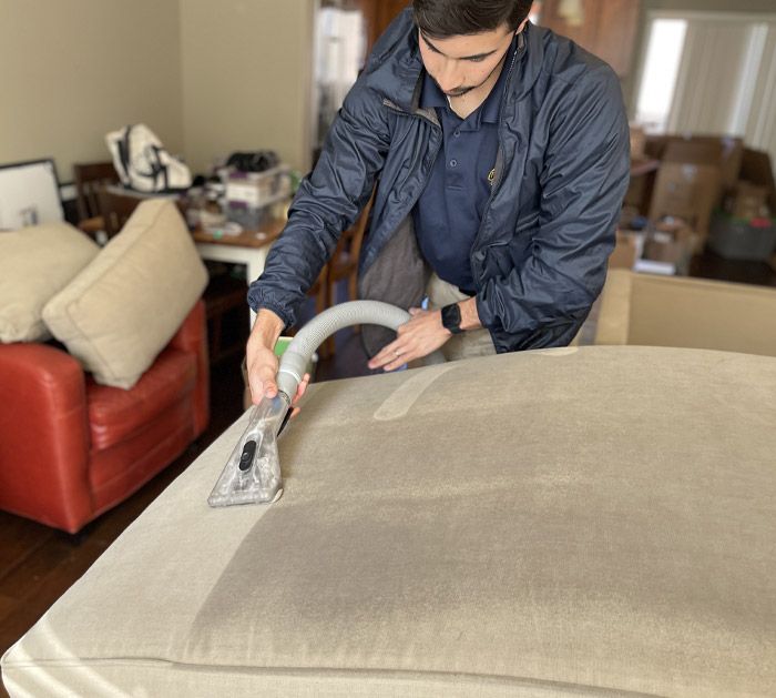 Upholstery Cleaning Results Mapleton