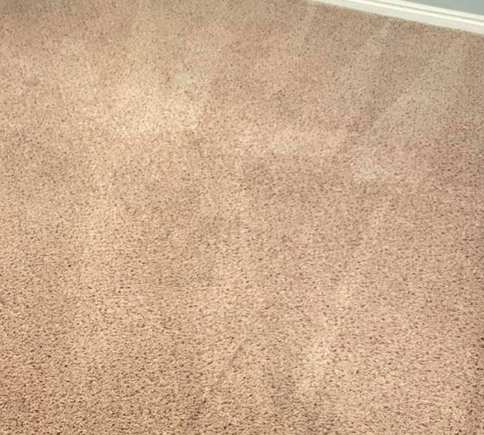 Stain and Odor Removal After