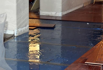 Commercial Carpet Cleaning Service in Lindon