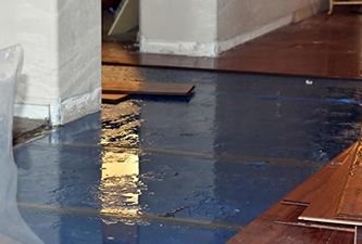 Commercial Carpet Cleaning Service in Orem